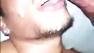 قبو المجموعة العربدة أزرق العينين