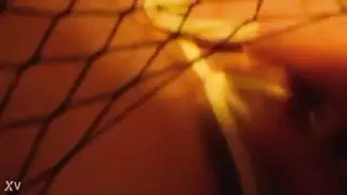 إيراني بلجيكي