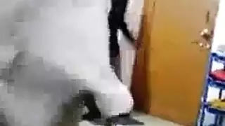 عاهرات طالبات: مصّ القضيب وركوب جماعي