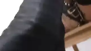 منقبه مصريه صدر كبير