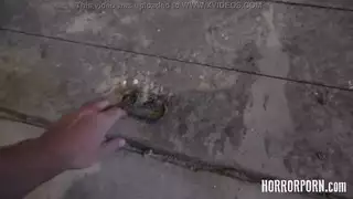  مراهقات وقحات ينكحن بقوة من شباب عضليين