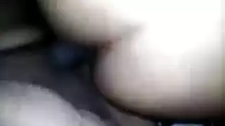 الحمار سخيف في بلدي الحمار الحمار سامانثا رون ودون الأمير