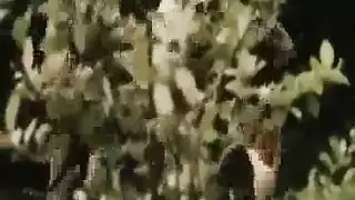 monster cock action: an ebony god fucks hard