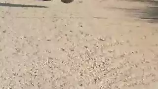 ملكة الشرج النحيلة حمراء الشعر تأخذ ضربات خشنة