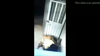 فتاة جامعة التشيكية في العام