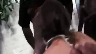 مشهد إباحي: خالد يثب مهبل شيما الضيق