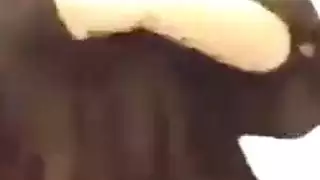 مشهد عربي ساخن 2019: فتاة نقاب تظهر ثدييها قبل جماع متوحش