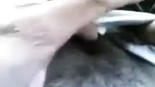 آشلي تشامبرز تظهر عضلاتها وتفتح فرجها