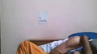 أسود الدومينيكان تقبيل