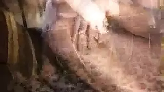 إباحية محجبات: تركييات ينكّن بقوة